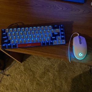 Magegee Keyboard and Logitech mouse (both wired and like new)